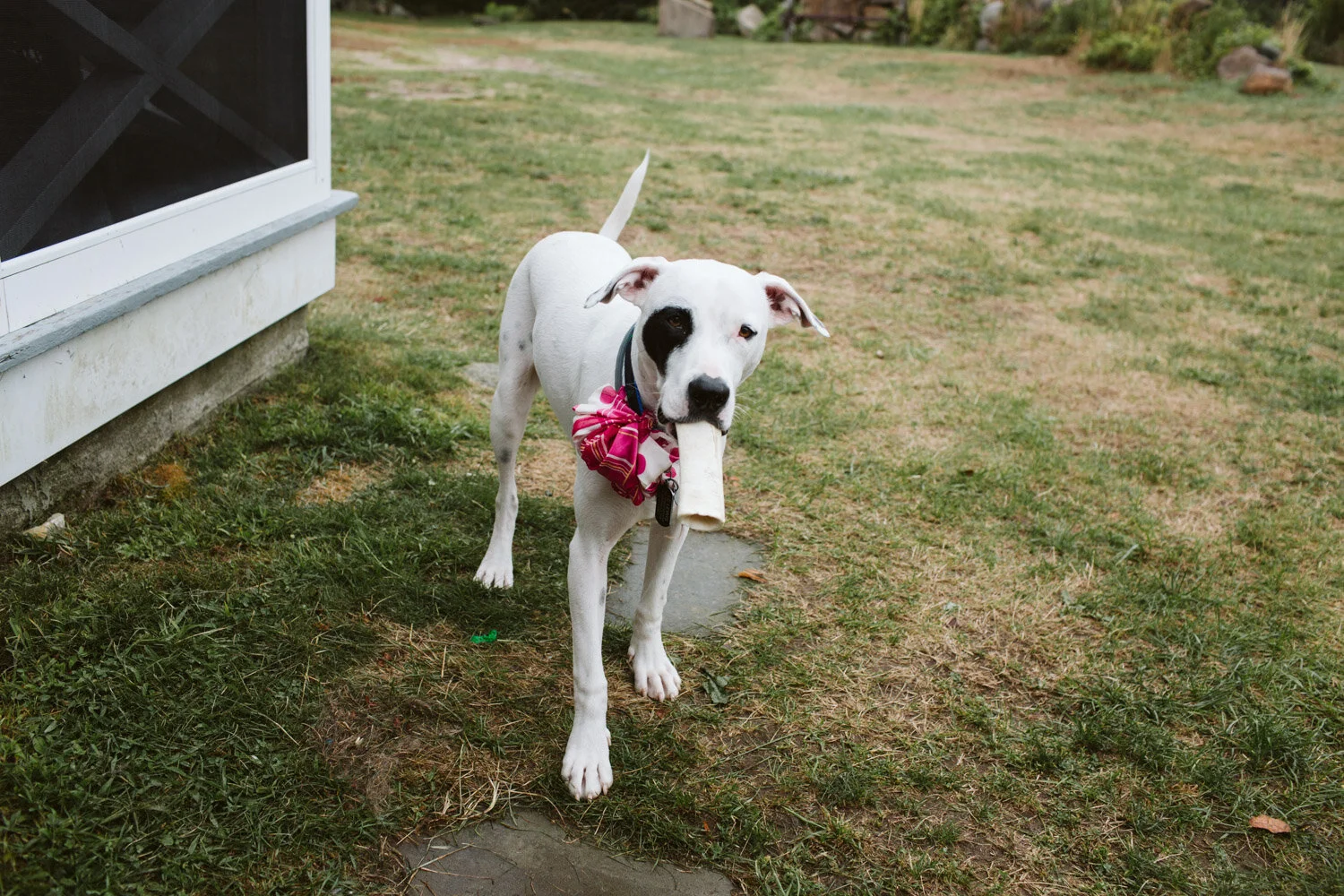 Block Island — wedding day photograph