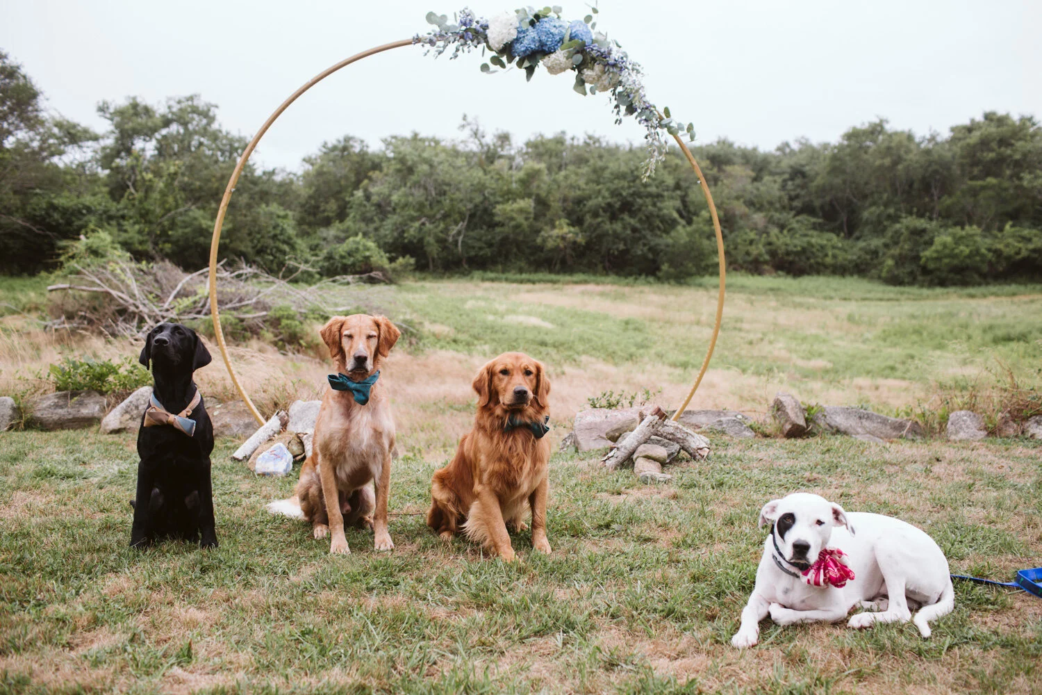 Block Island — wedding day photograph