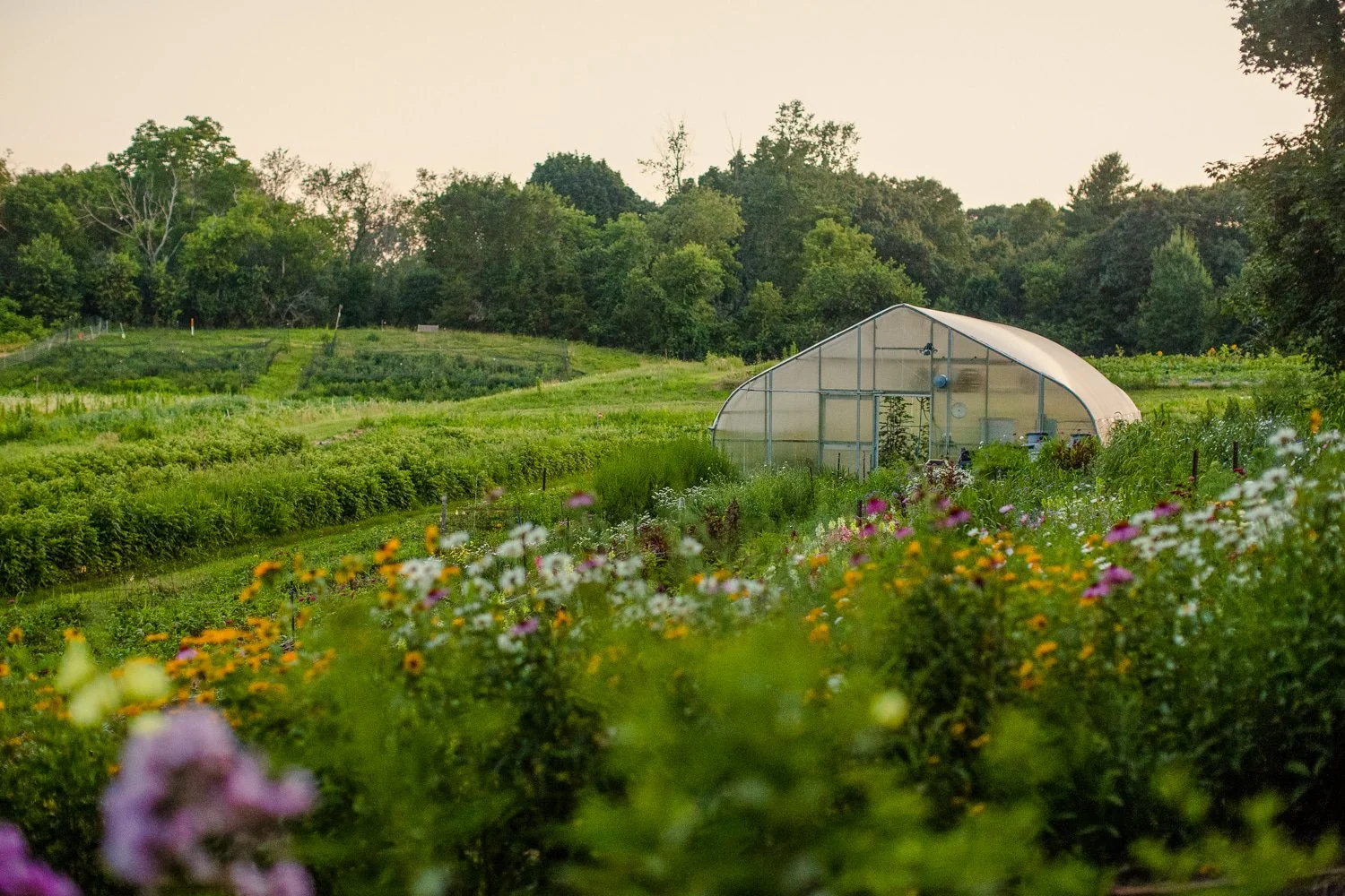 24 Amazing Farm Wedding Venues Near Boston 22 Boston, MA wedding photography