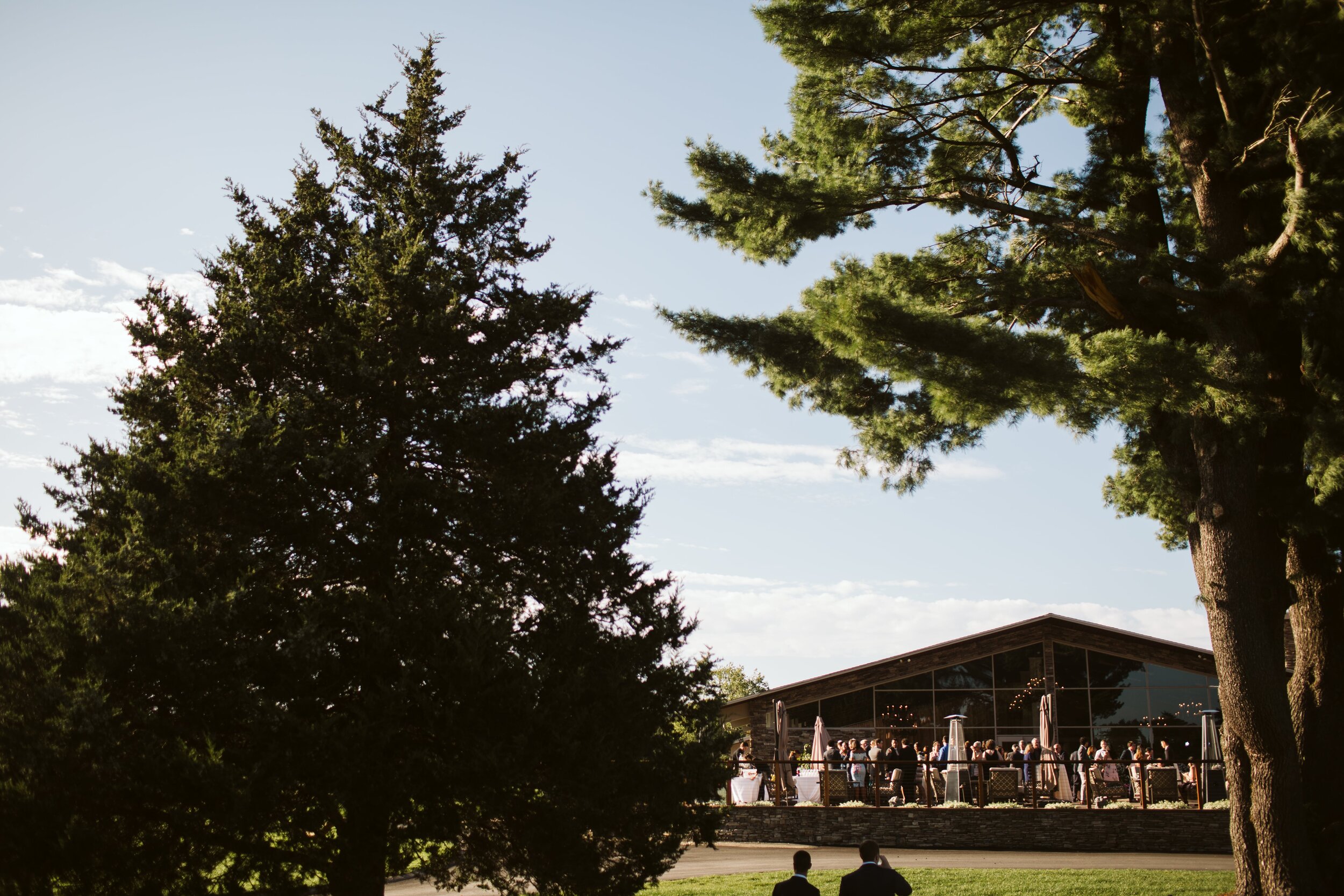 Cape Club of Sharon Wedding — wedding photograph