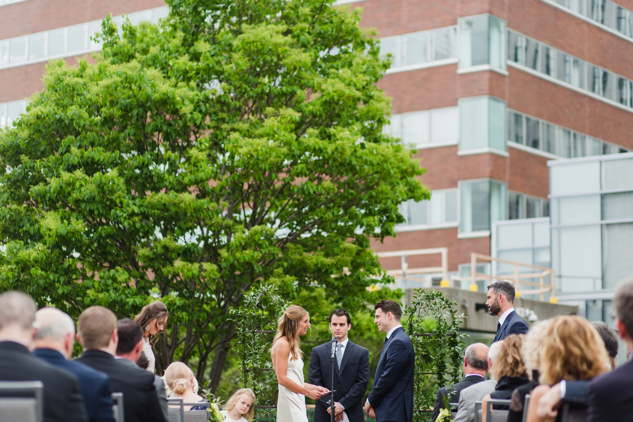 Commonwealth Restaurant Wedding Cambridge MA — documentary wedding photograph