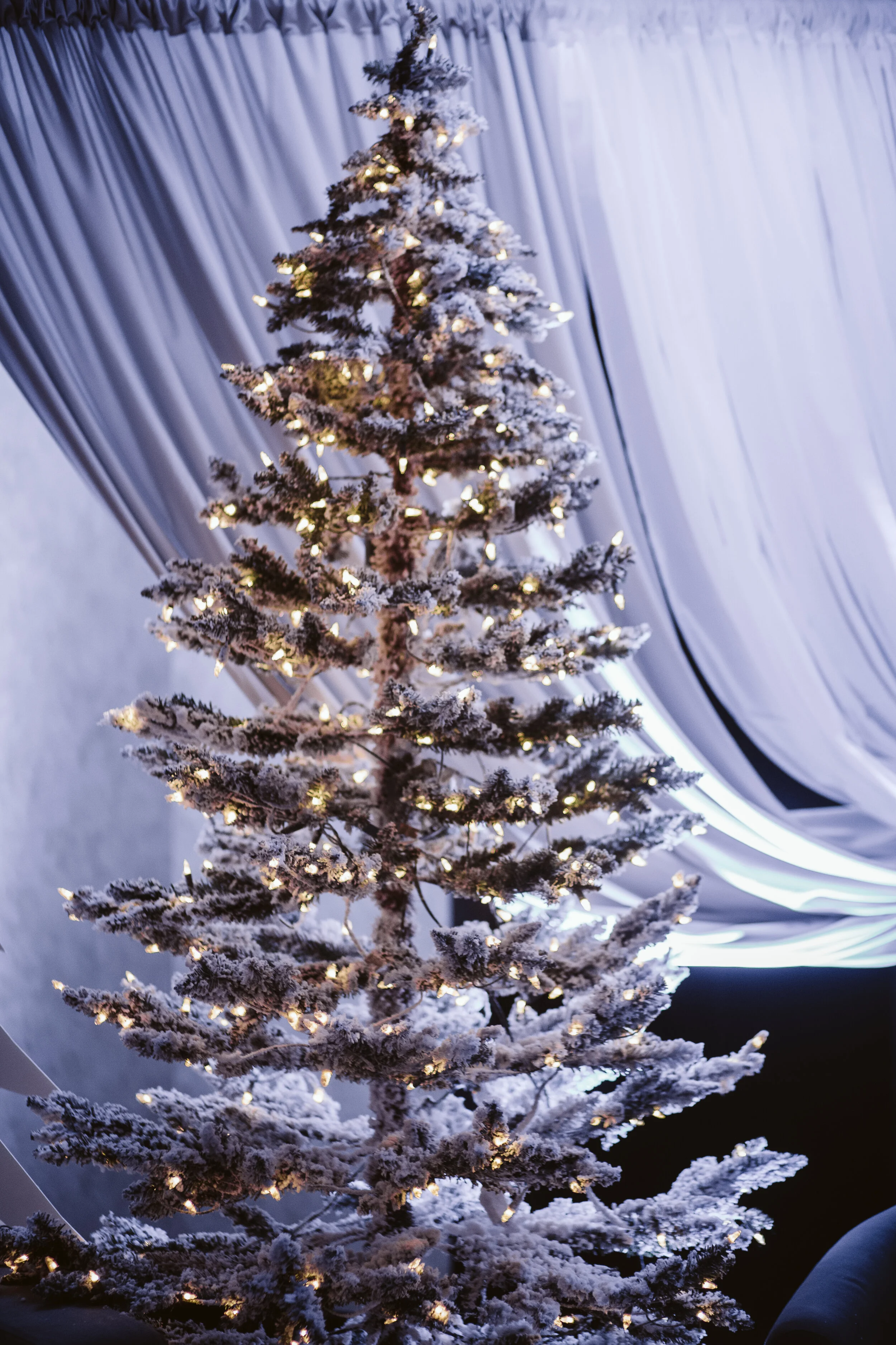 Corporate Holiday Party at the Intercontinental Hotel, Boston MA — wedding photography by Mark Davidson