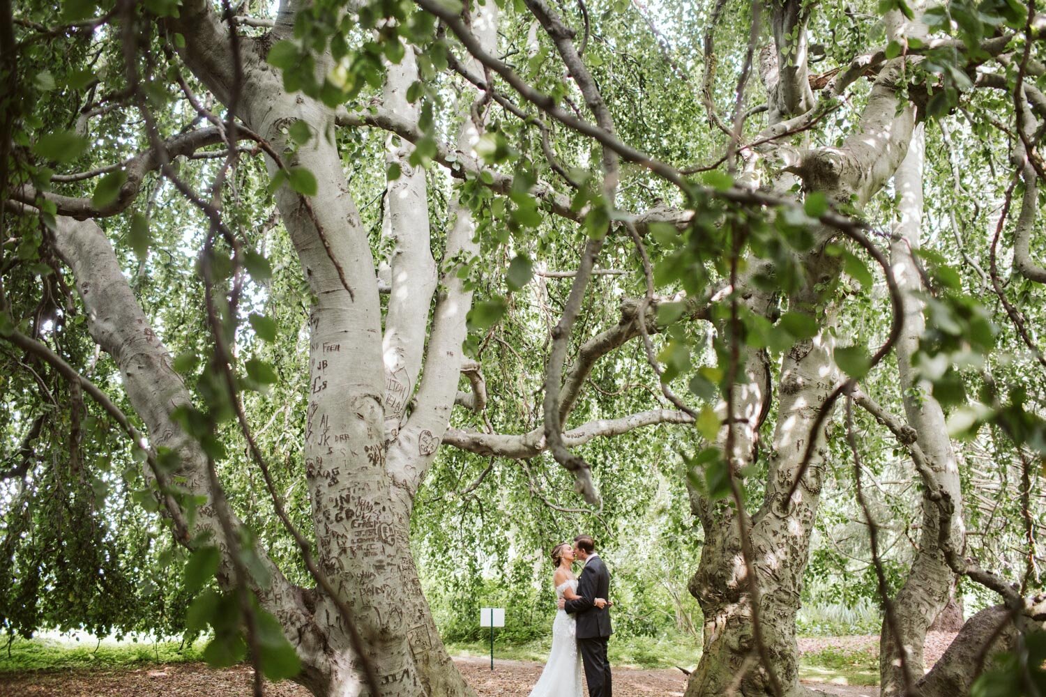 Glen Magna Farms Wedding — wedding photography by Mark Davidson