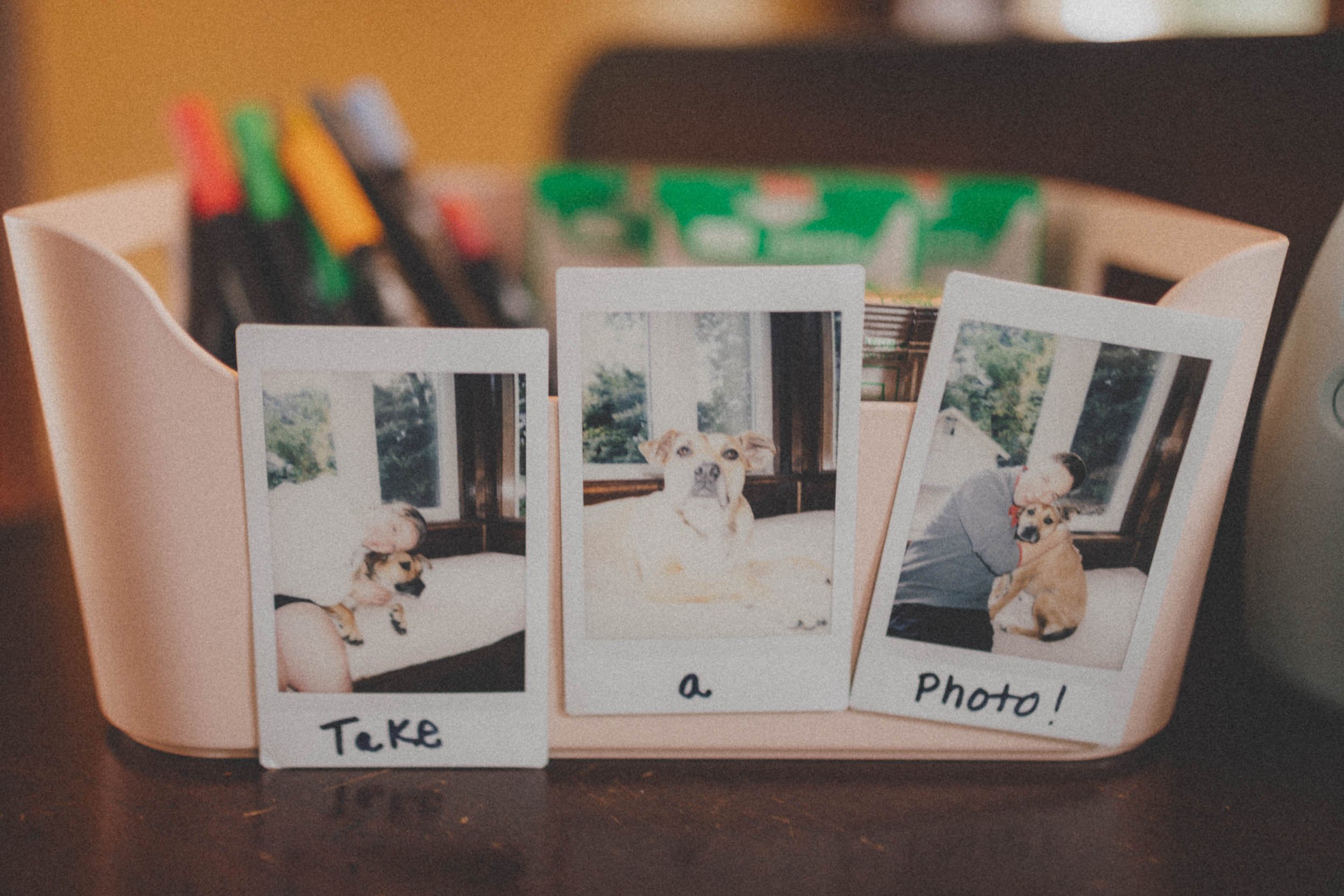 Guide to Disposable Cameras for Weddings 7 Wedding photograph by Mark Davidson Photography