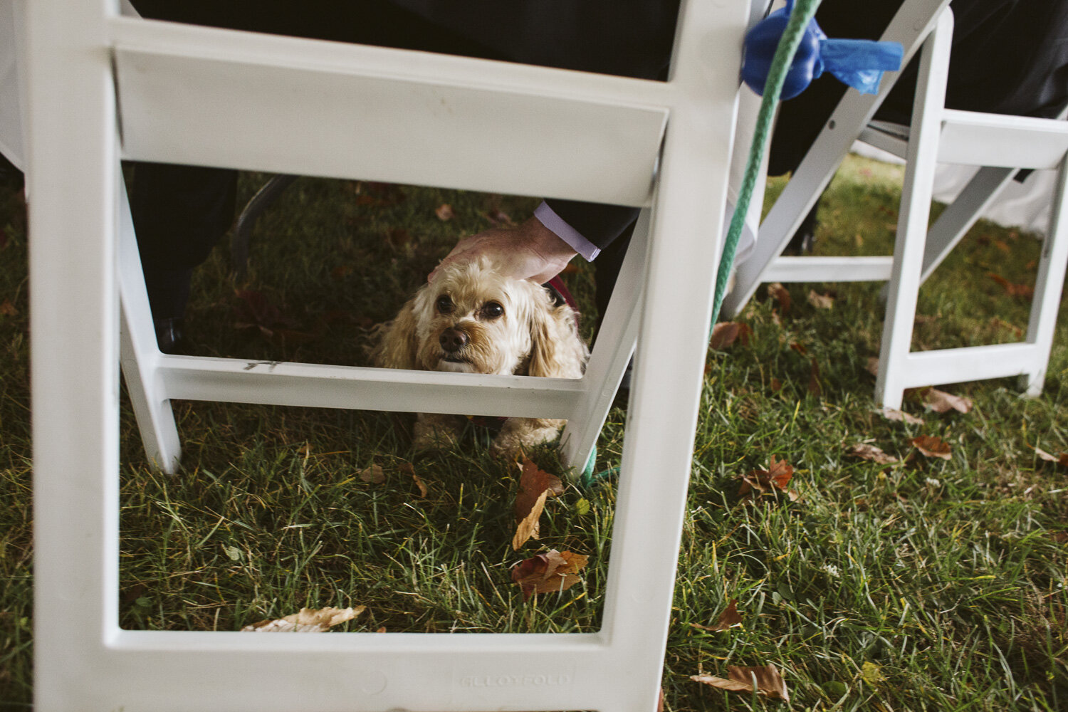 Harrington Farm Wedding — documentary wedding photograph