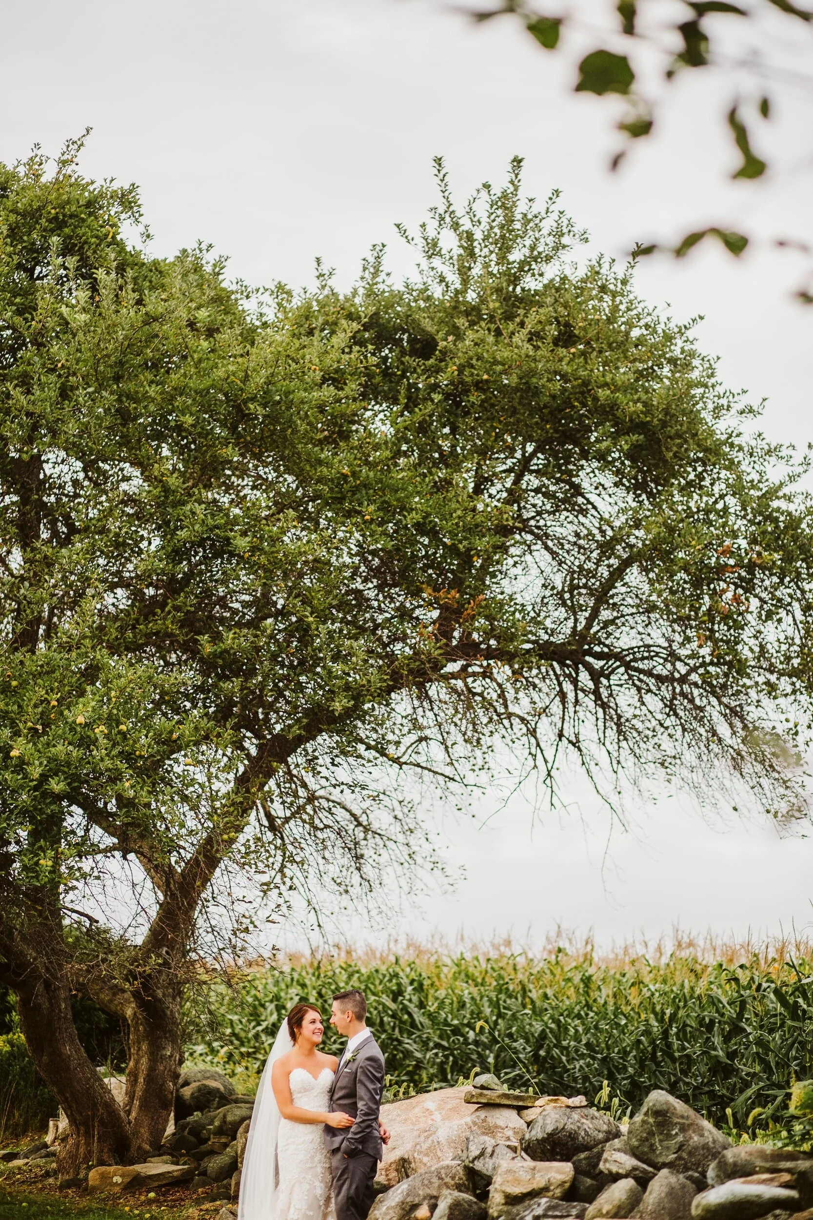 Jonathan Edwards Winery — documentary wedding photograph