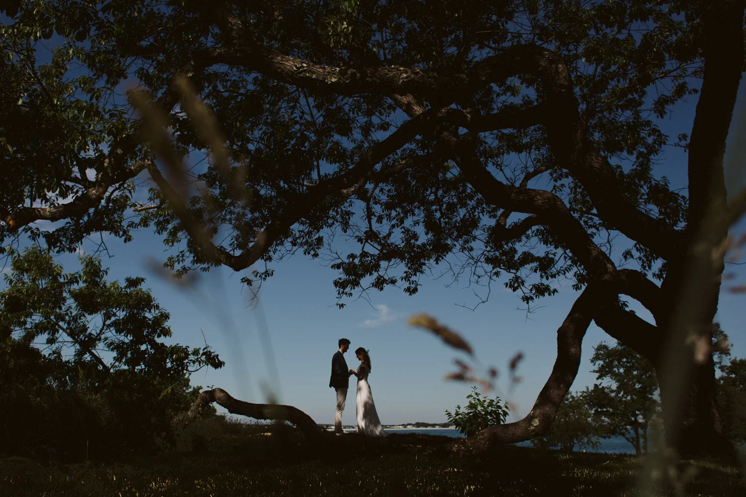 Micro Wedding in Boston 1 Micro Wedding in Boston — documentary wedding photograph