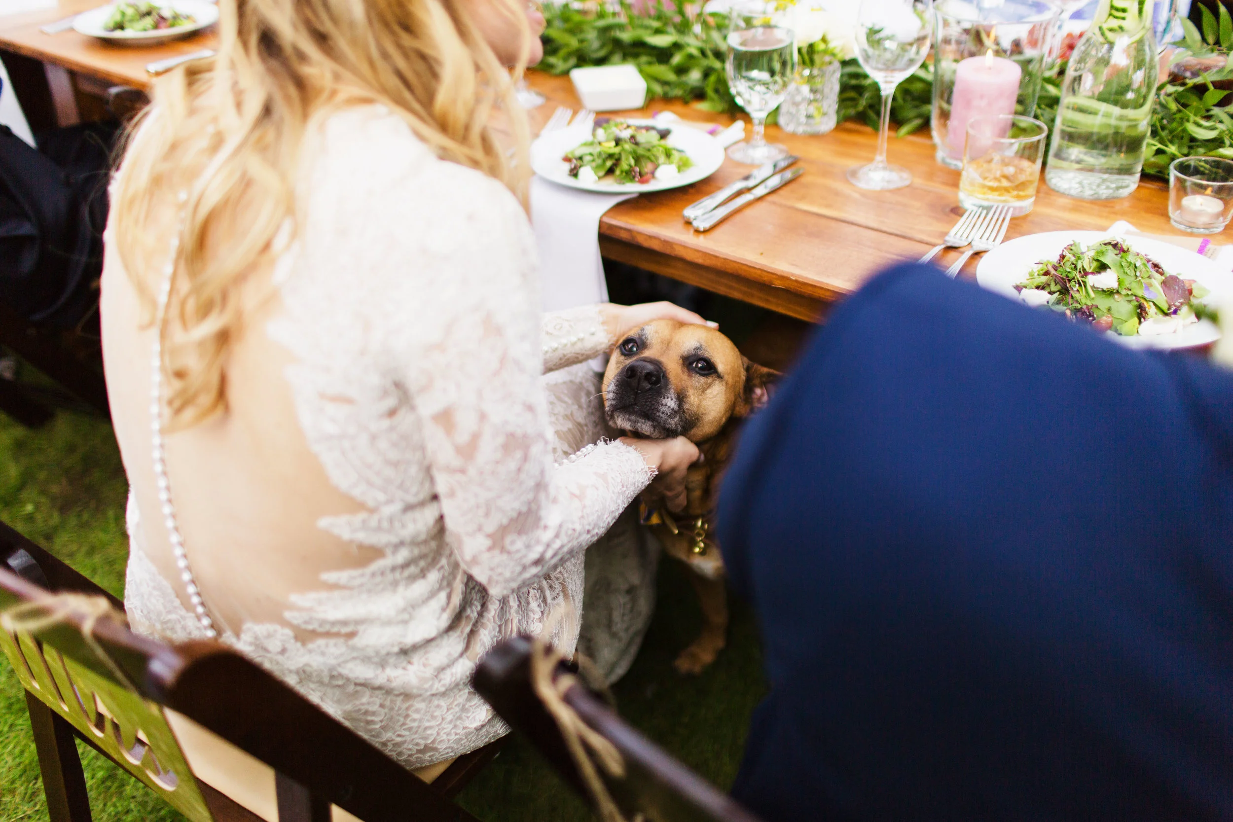 Milton MA Garden Wedding — wedding day photograph
